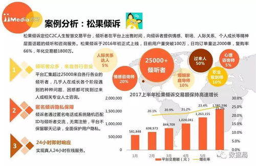 艾媒咨詢《2017上半年中國(guó)精神類服務(wù)電商市場(chǎng)研究報(bào)告》解析 社會(huì)經(jīng)濟(jì)咨詢服務(wù)新業(yè)態(tài)的興起